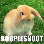bunno