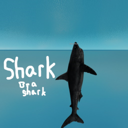 Shark