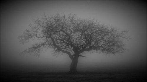 Deserted