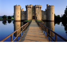 The kingdom
