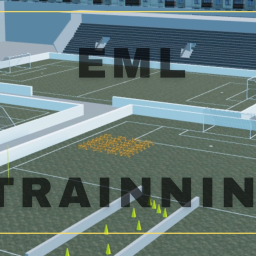 EML - TRAINNING FIELD