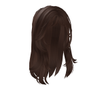 Brown Wavy Messy Hair