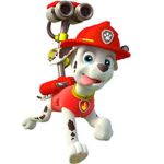 Marshall from paw patrol fan club
