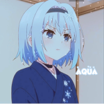 .aqua.