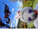 VIPBUNNy058