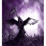 thecrows(Tc)