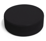 LBHL (Liams Big Hockey League)