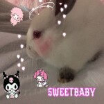 *:･ﾟ✧*:･ﾟ✧