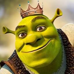 Shrek's Experience