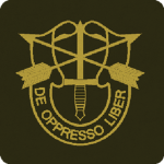 United States Green Berets 1960s