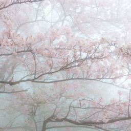 ♡