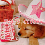 <Eva's closet>
