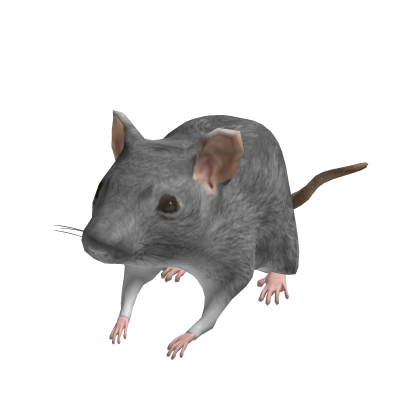 Tiny Mini Rat🐭[DESCRIPTION]