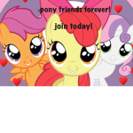 Pony friends forever