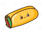 nicest burritos