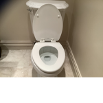 Toilets and poop