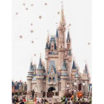 *-disney world ########