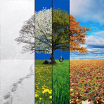 Seasons | Advisory Board