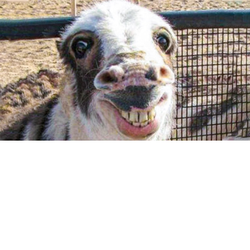 idk what this is its stuff