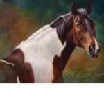 Follow ur dream . Horses Groups