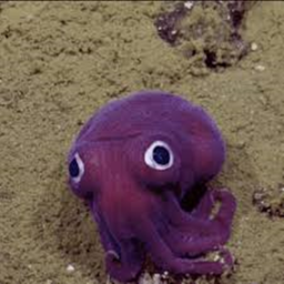 EPIK SQUID HANGOUT