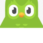 Duolingo the bird