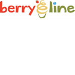 BerryLine Icecream
