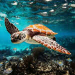 save the turtles today