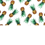 PINEAPPLE SQUAD CO.