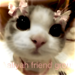 Aaliyah’s Friend Group