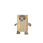 The pop tart community