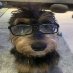 Peuuu