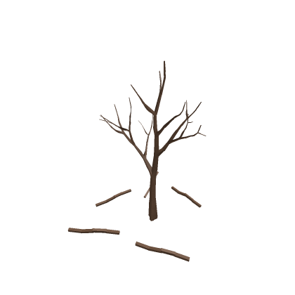 died tree
