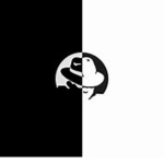 White hat hacker's
