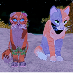 Night time wolves