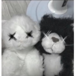 FluffyStarships