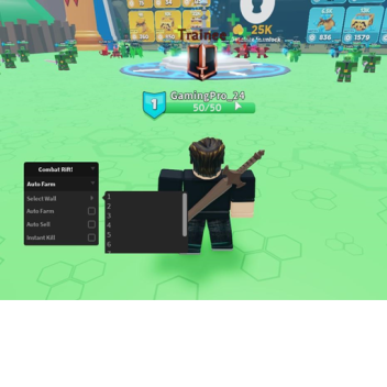 THE COMBAT FIGHTING GAME