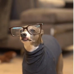 Ur mom guy haha XD