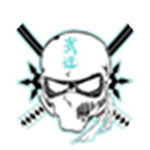 Ninja Force #######