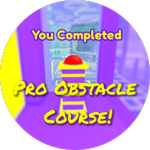 You Completed Pro Obstacle Course!