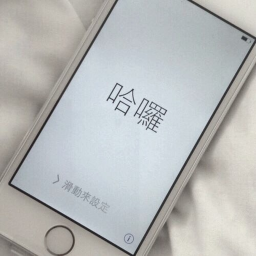 Experience #9590191265