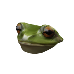 Frog - Dynamic Head
