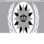 Dummain infantry forces