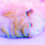 chomikc