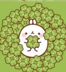 Soph’s Clovers