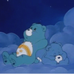 The bear hang out