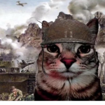 thousand yard stare