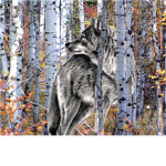 Forest Pack