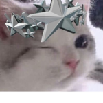 amilty