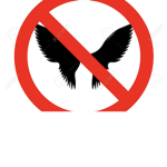 Wings are overrated